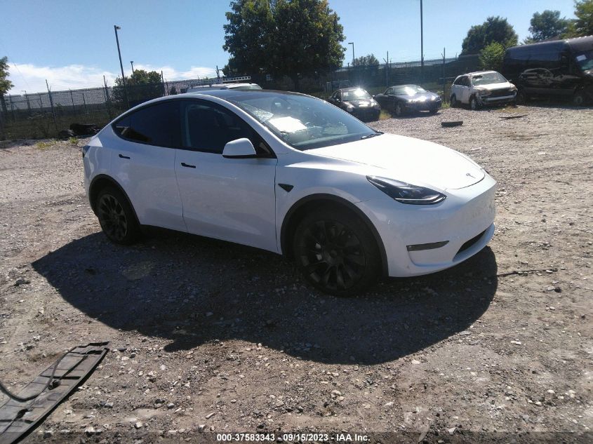 Auction sale of the 2023 TESLA MODEL Y , vin: 7SAYGDEE6PF676039, lot number: 37583343