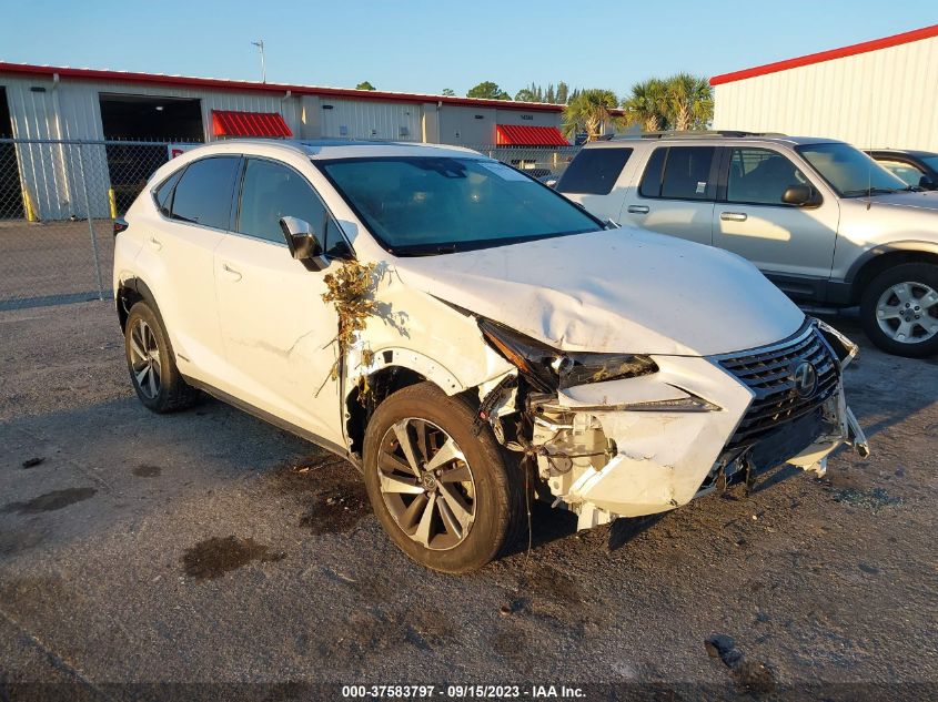 2020 LEXUS NX NX 300H - JTJGJRDZ6L2126197