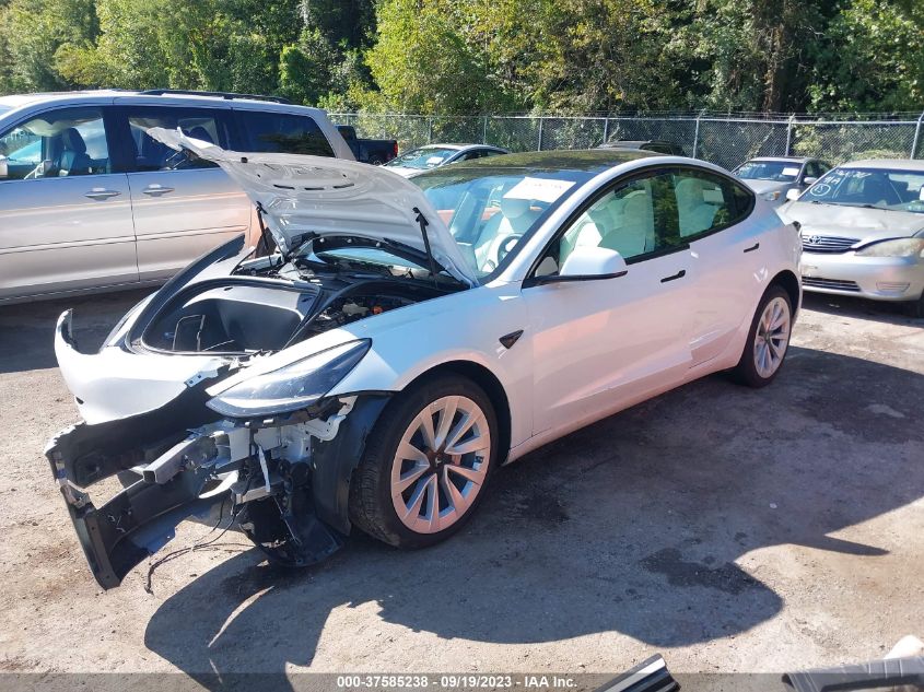 2023 TESLA MODEL 3 - 5YJ3E1EAXPF485362