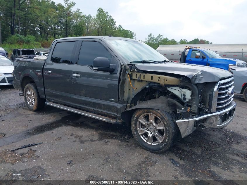 2015 FORD F-150 XL/LARIAT/XLT - 1FTEW1CP4FKE97733