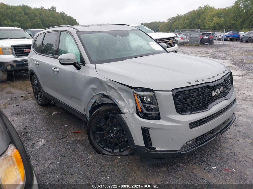 VIN 5XYP5DHC9NG309831 2022 KIA TELLURIDE SX