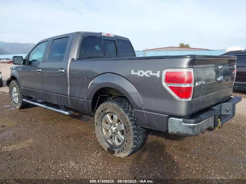 2013 FORD F-150 XL/XLT/FX4/LARIAT - 1FTFW1EF0DKD27407