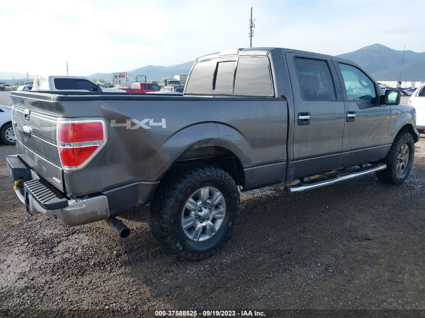2013 FORD F-150 XL/XLT/FX4/LARIAT - 1FTFW1EF0DKD27407