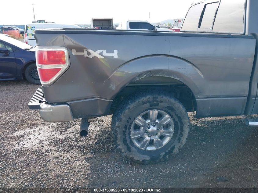 2013 FORD F-150 XL/XLT/FX4/LARIAT - 1FTFW1EF0DKD27407