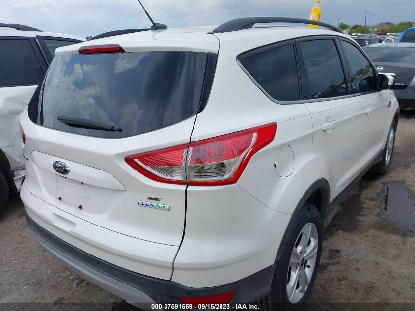 2014 FORD ESCAPE SE - 1FMCU0GXXEUD29658