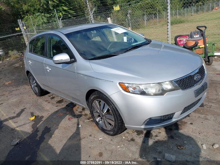 2013 KIA FORTE 5-DOOR EX - KNAFU5A22D5742787