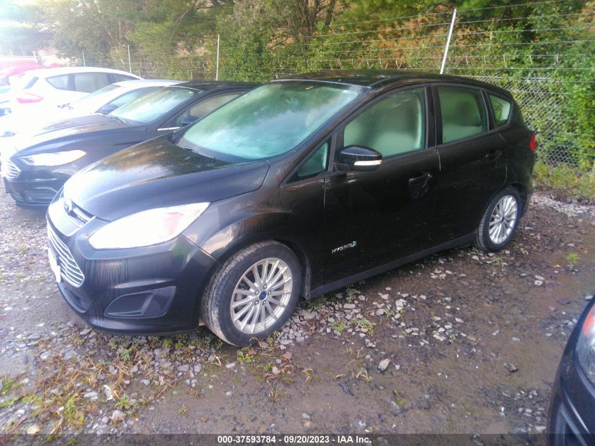 2014 FORD C-MAX HYBRID SE - 1FADP5AU0EL518066