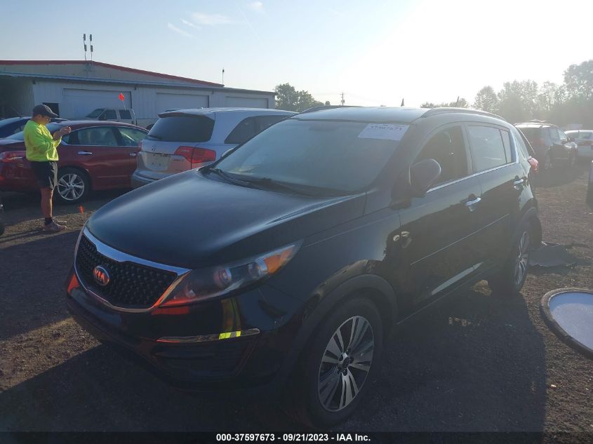 2016 KIA SPORTAGE EX - KNDPC3AC5G7804103