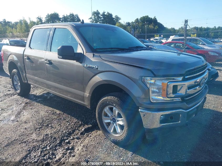 2019 FORD F-150 XL/XLT - 1FTEW1EB0KFB83050