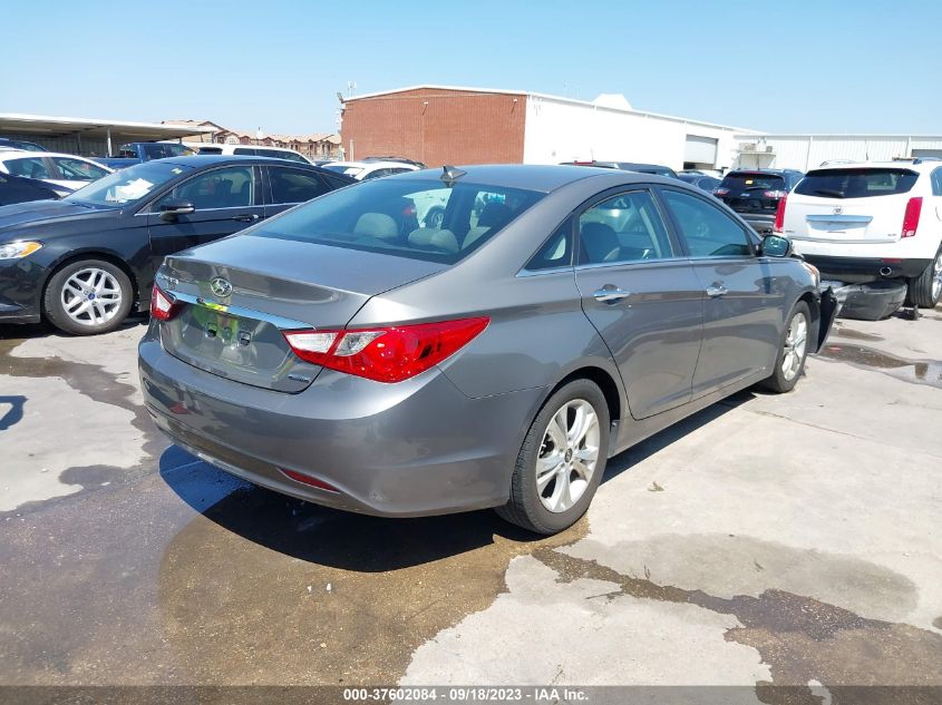 2013 HYUNDAI SONATA LIMITED - 5NPEC4AC6DH799238