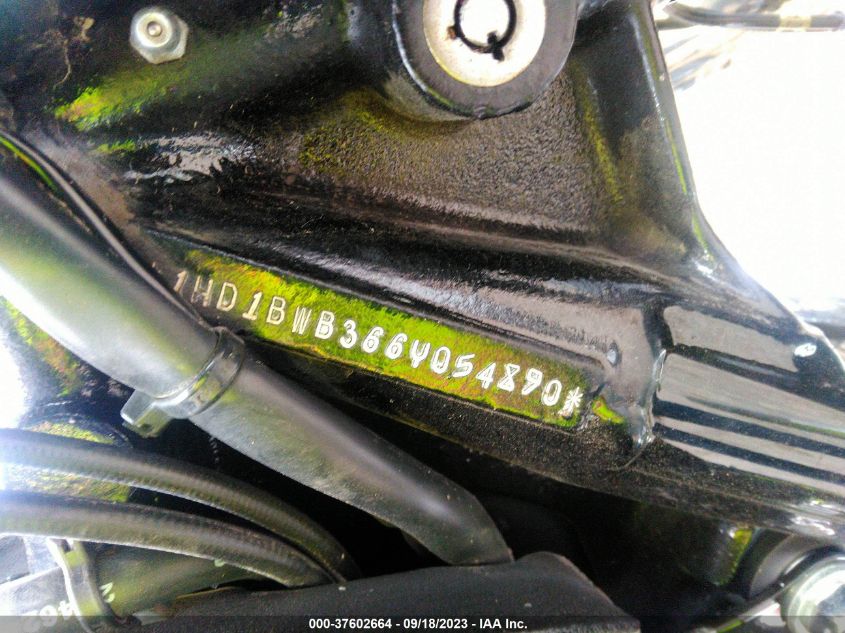 2006 HARLEY-DAVIDSON FLSTCI - 1HD1BWB366Y054890
