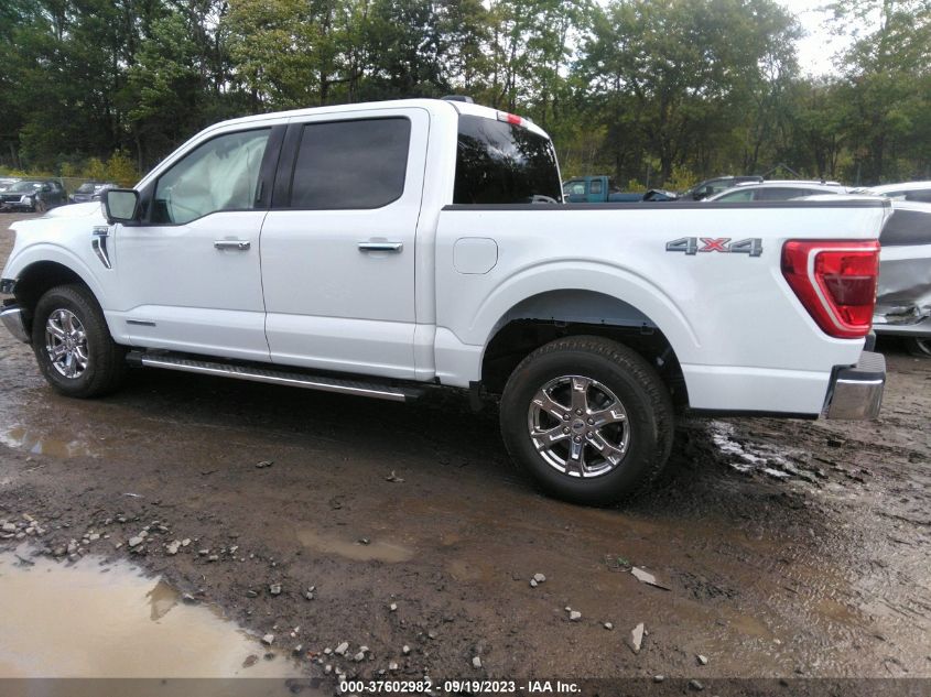 2023 FORD F-150 XL/XLT/LARIAT - 1FTFW1ED7PFC25999