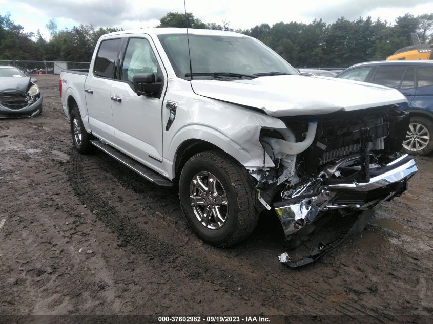 2023 FORD F-150 XL/XLT/LARIAT - 1FTFW1ED7PFC25999