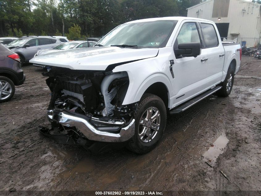 2023 FORD F-150 XL/XLT/LARIAT - 1FTFW1ED7PFC25999