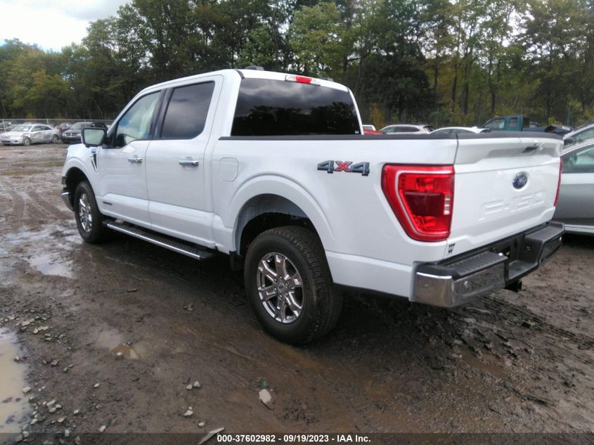 2023 FORD F-150 XL/XLT/LARIAT - 1FTFW1ED7PFC25999