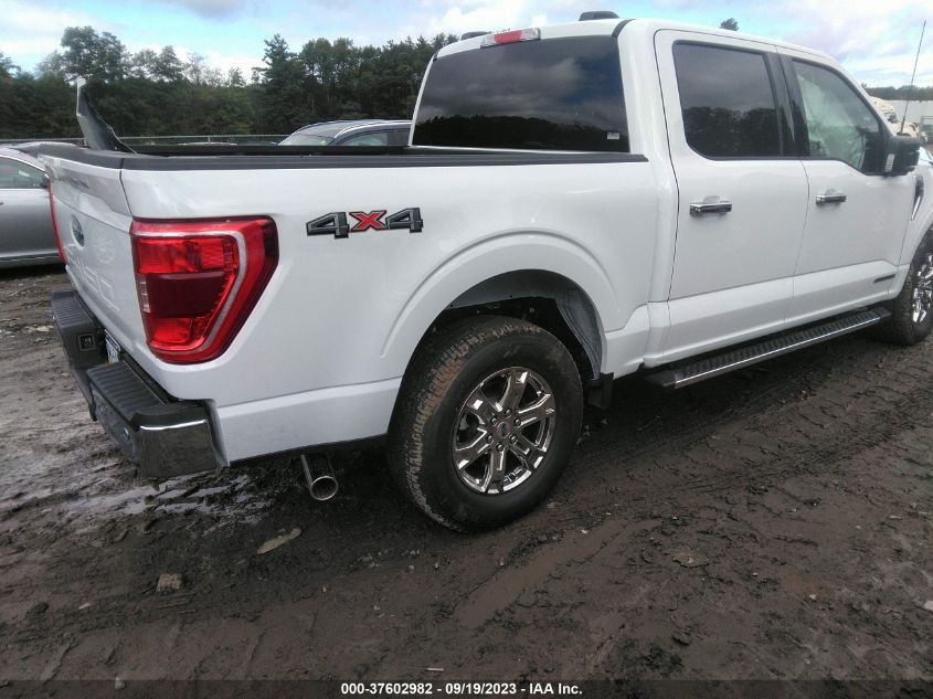 2023 FORD F-150 XL/XLT/LARIAT - 1FTFW1ED7PFC25999