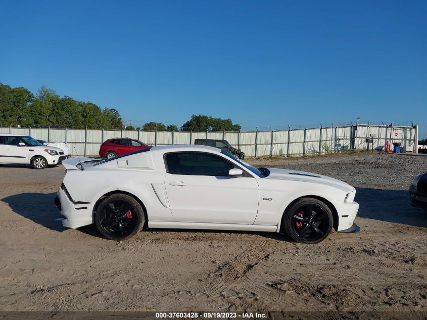 2014 FORD MUSTANG GT - 1ZVBP8CF4E5246477