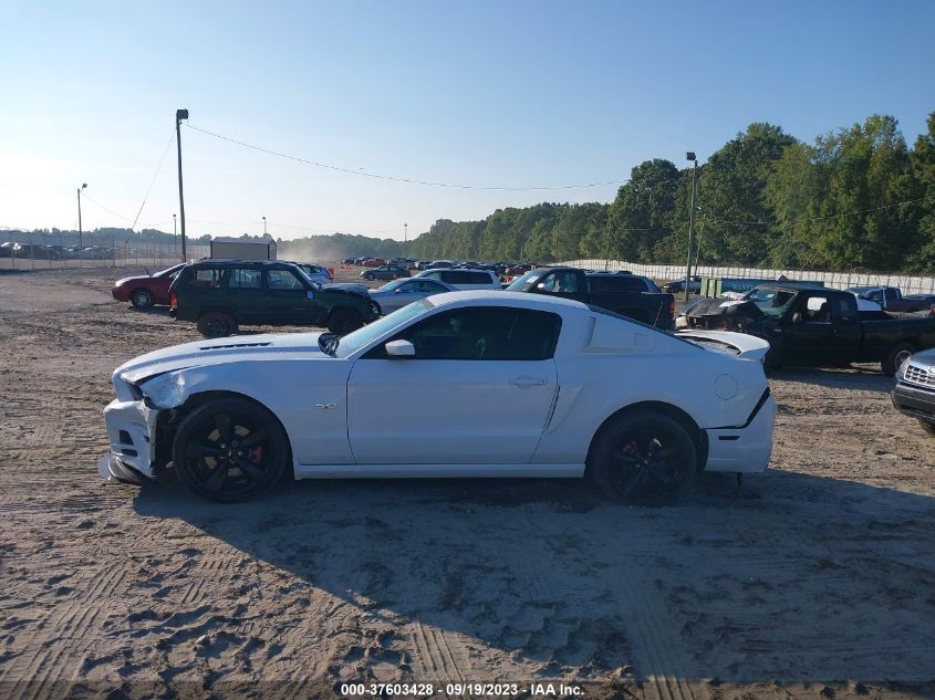 2014 FORD MUSTANG GT - 1ZVBP8CF4E5246477