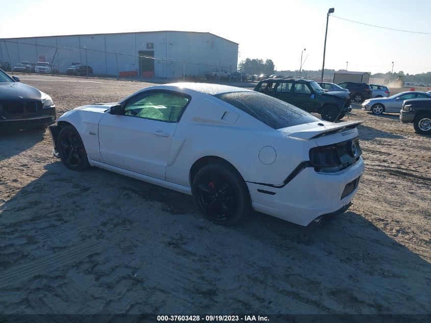 2014 FORD MUSTANG GT - 1ZVBP8CF4E5246477