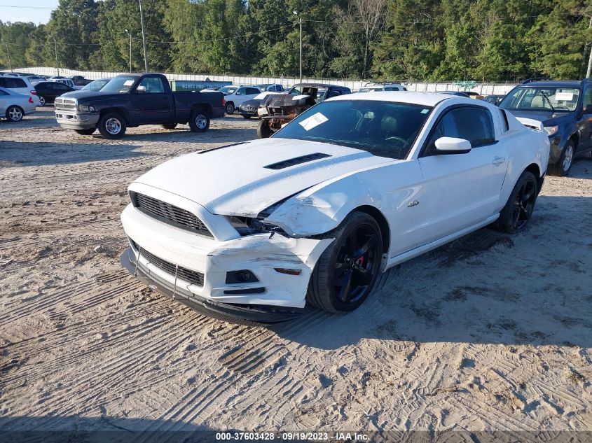 2014 FORD MUSTANG GT - 1ZVBP8CF4E5246477