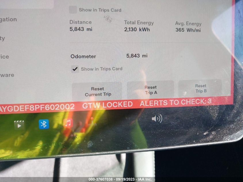 2023 TESLA MODEL Y - 7SAYGDEF8PF602002