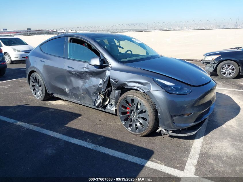 2023 TESLA MODEL Y - 7SAYGDEF8PF602002