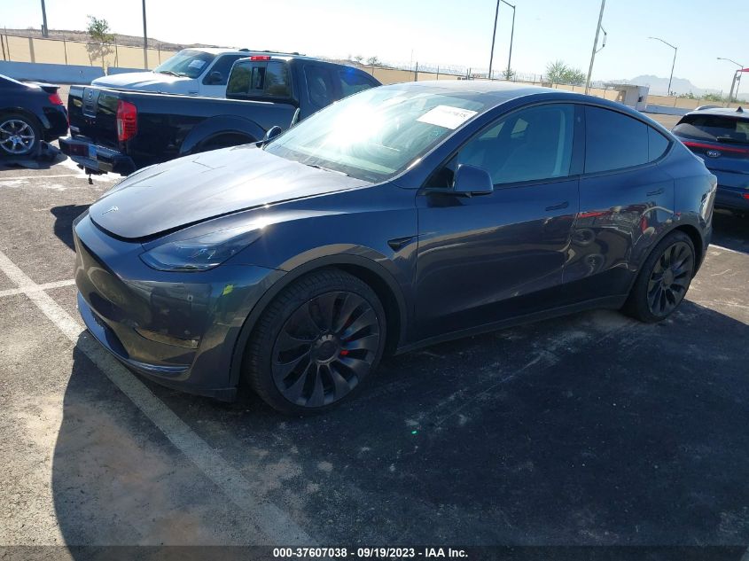 2023 TESLA MODEL Y - 7SAYGDEF8PF602002