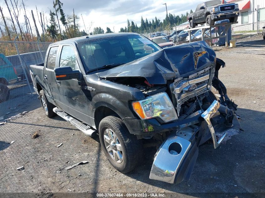 2014 FORD F-150 XL/XLT/STX/FX4/LARIAT - 1FTFW1EF4EFA14421