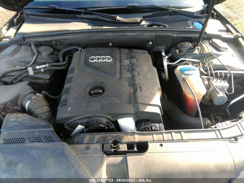 2013 AUDI A5 PREMIUM PLUS - WAULFAFR2DA039208