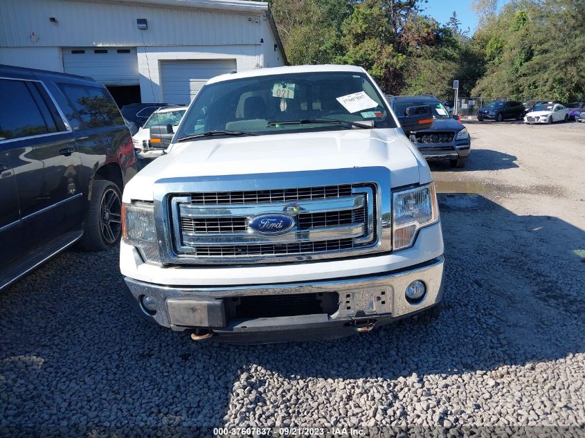 2013 FORD F-150 XL/XLT/FX4/LARIAT - 1FTFX1ET8DFD73823