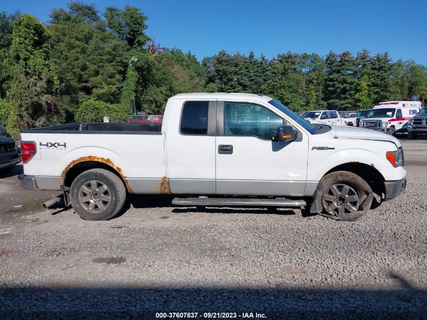 2013 FORD F-150 XL/XLT/FX4/LARIAT - 1FTFX1ET8DFD73823