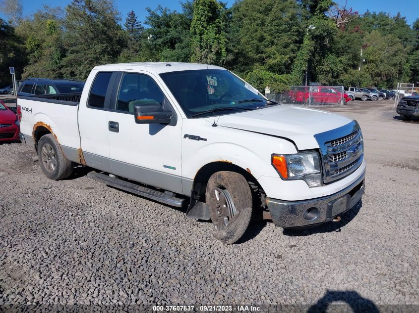 2013 FORD F-150 XL/XLT/FX4/LARIAT - 1FTFX1ET8DFD73823