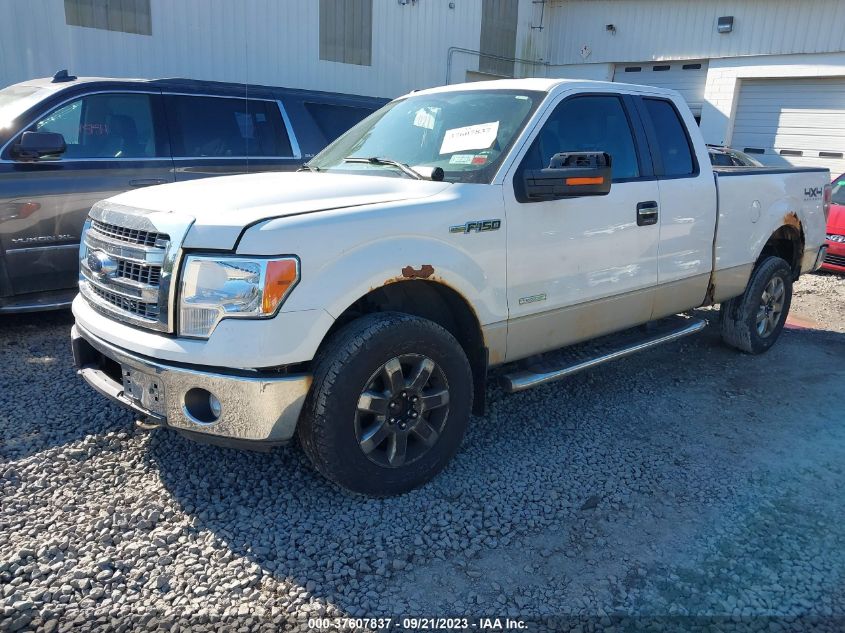 2013 FORD F-150 XL/XLT/FX4/LARIAT - 1FTFX1ET8DFD73823