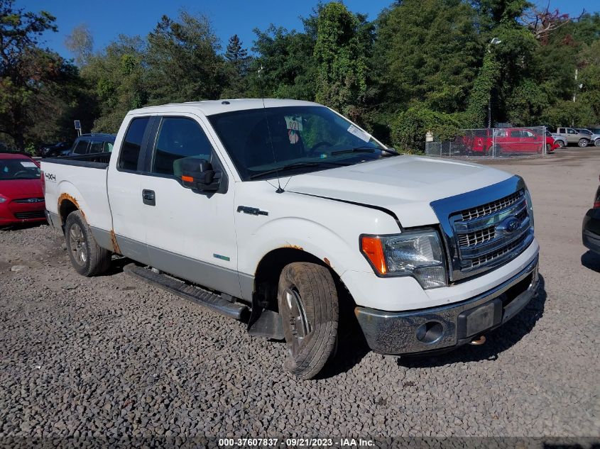 2013 FORD F-150 XL/XLT/FX4/LARIAT - 1FTFX1ET8DFD73823