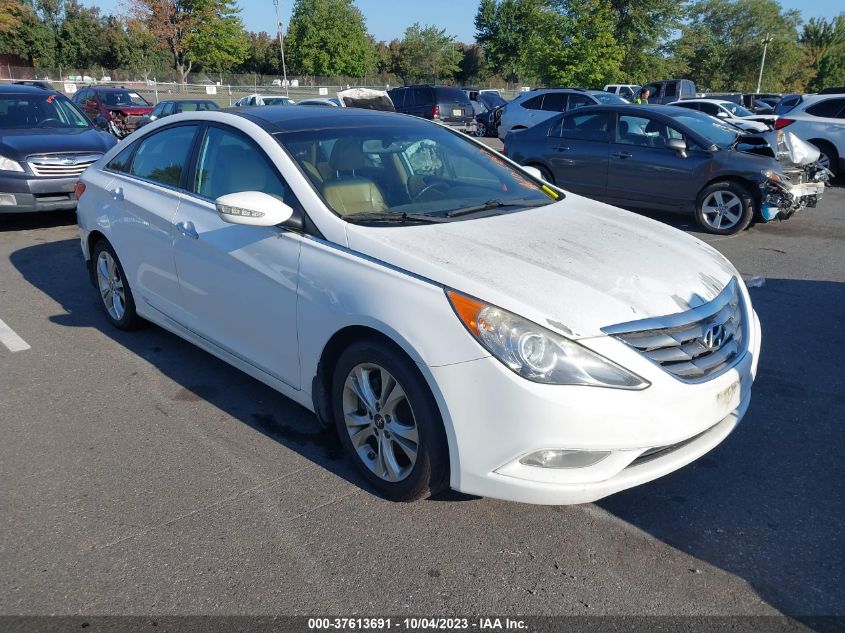 2013 HYUNDAI SONATA LIMITED PZEV - 5NPEC4AC9DH651407