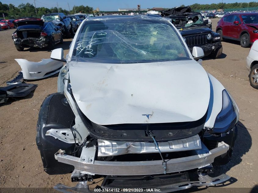 2023 TESLA MODEL Y LONG RANGE - 7SAYGDEE1PA139740