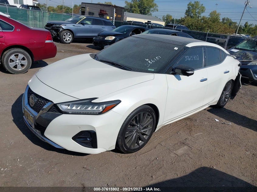 VIN 1N4AA6AV3KC366184 2019 NISSAN MAXIMA PLATINUM