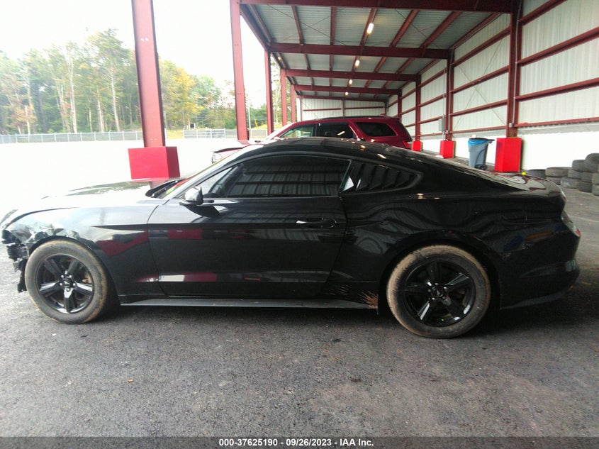 VIN 1FA6P8TH3K5124670 2019 FORD MUSTANG ECOBOOST