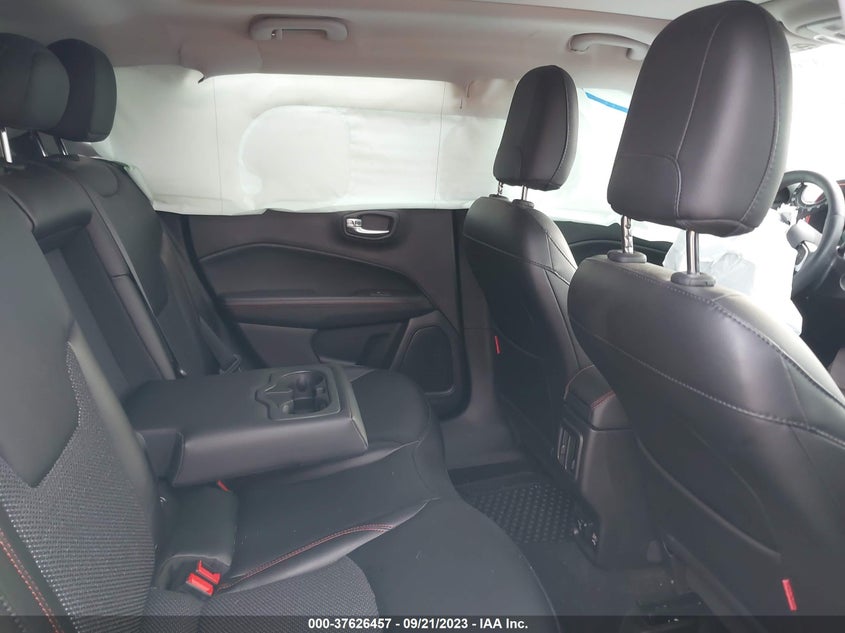 VIN 3C4NJDDB8KT651694 2019 JEEP COMPASS TRAILHAWK