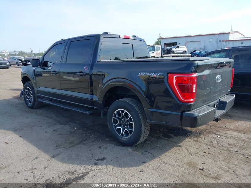 2023 FORD F-150 XL/XLT/LARIAT - 1FTEW1EP0PKE08464