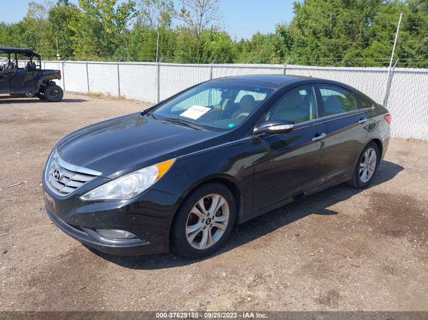 2013 HYUNDAI SONATA LIMITED - 5NPEC4AC5DH649900