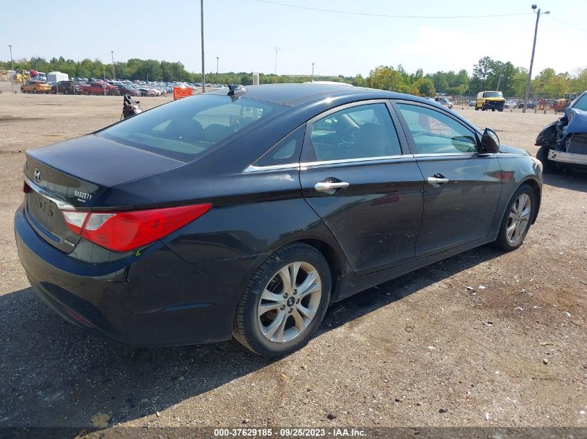 2013 HYUNDAI SONATA LIMITED - 5NPEC4AC5DH649900
