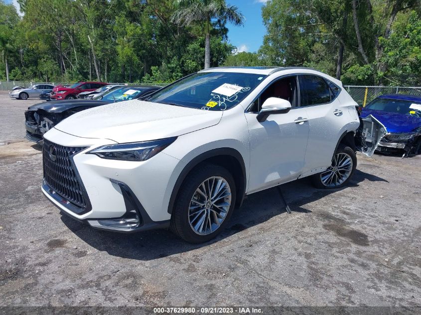 2022 LEXUS NX 350H 2T2GKCEZ3NC003954