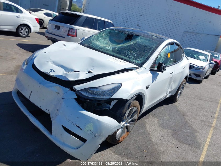 VIN 7SAYGDEE1PA031568 2023 TESLA MODEL Y