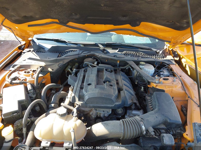 VIN 1FATP8UHXK5159823 2019 FORD MUSTANG
