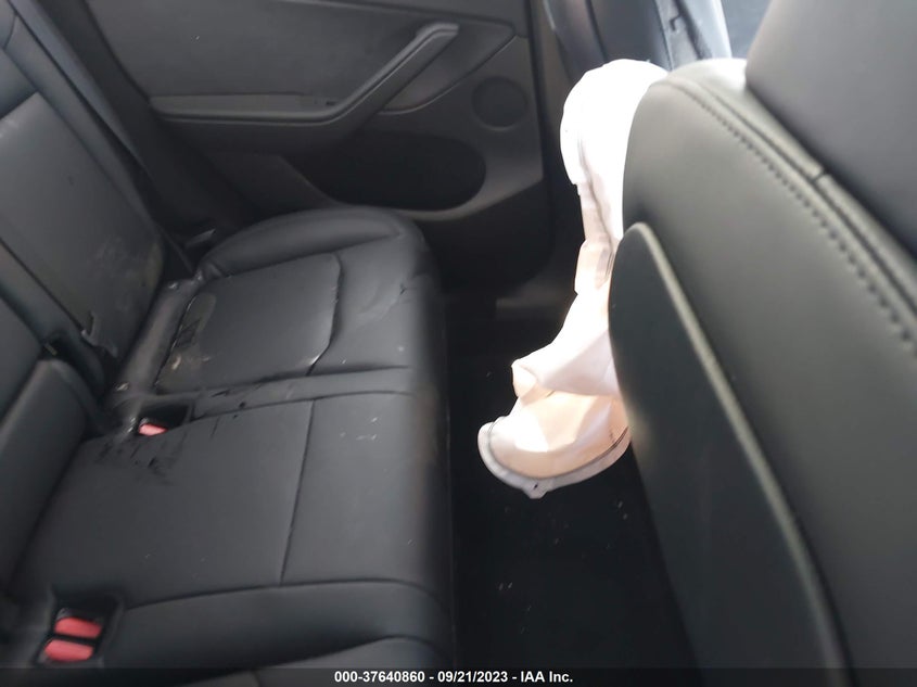VIN 7SAYGDEF8PA049302 2023 TESLA MODEL Y