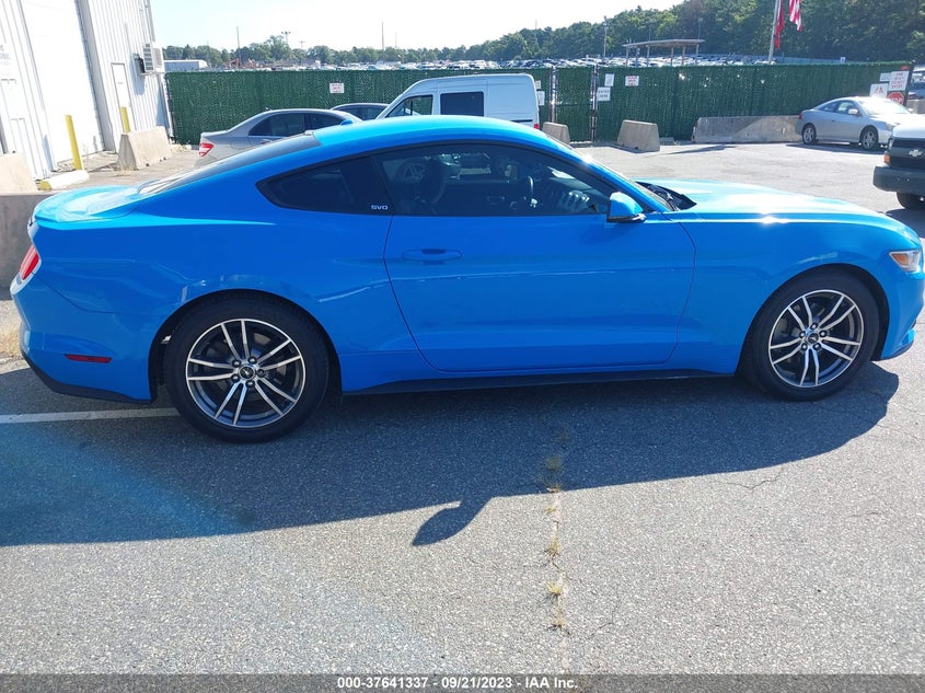 VIN 1FA6P8TH1H5204574 2017 FORD MUSTANG ECOBOOST