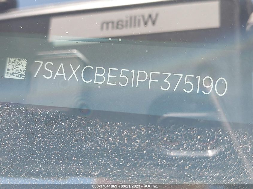 2023 TESLA MODEL X - 7SAXCBE51PF375190