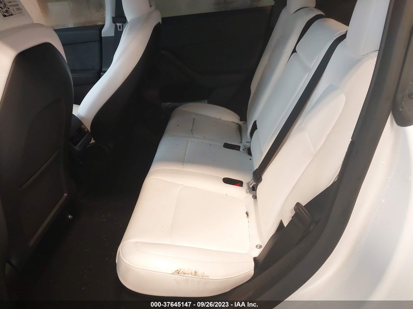 VIN 7SAYGDEF0PF843018 2023 TESLA MODEL Y PERFORMANCE