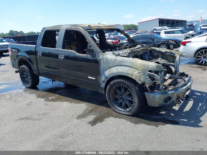 2013 FORD F-150 XL/XLT/FX4/LARIAT - 1FTFW1ET0DKE32647